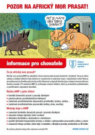 Africký mor prasat a ptačí chřipka