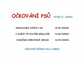 Očkování psů